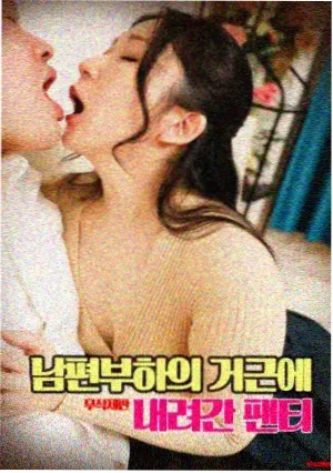 文豪野犬第二季 相关推荐